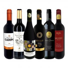  第173弾 当店厳選 これぞ極旨赤ワイン wine 大満足 充実の飲み応え 贅沢なスーパー・セレクト