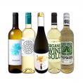  目からウロコ スペイン Spain 白ワイン wine の いま は超激旨 スペイン Spain おうちバル白ワイン wine 5本セット set 
