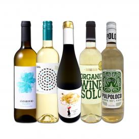  目からウロコ スペイン Spain 白ワイン wine の いま は超激旨 スペイン Spain おうちバル白ワイン wine 5本セット set 