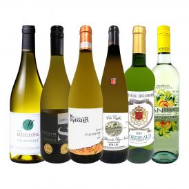  第64弾 当店 極 厳選 白ワイン wine 好きならこのセット set 格別の美味しさ 華やかな上質白ワイン wine を存分に味わう贅沢白ワイン wine 6本セット set 