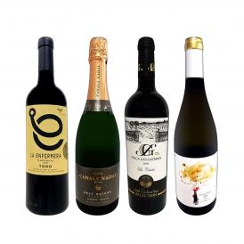  華麗なる新時代スペイン Spain ワイン wine 4本セット set 