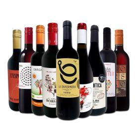  おうちタパスにピッタリ スペイン Spain 各地の赤飲み比べ おうちバル赤ワイン wine 9本セット set 