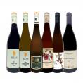  当店独自輸入 バイヤー厳選 ドイツ・オーストリア飲み比べ白赤6本セット set 