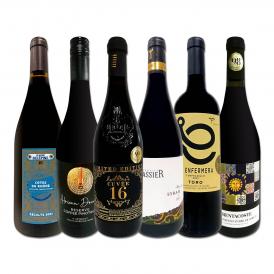  第53弾 濃厚赤ワイン wine 好き必見 大満足のフルボディ6本セット set 