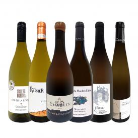  なんと3000円OFF 人気シャブリ chablis が入ったフランス France 品種飲み比べ白ワイン wine 6本セット set 