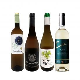  香り高い白の銘酒が勢揃い スペイン Spain 銘醸白ワイン wine 4本セット set 