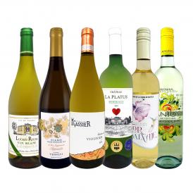  第66弾 当店 極 厳選 白ワイン wine 好きならこのセット set 格別の美味しさ 華やかな上質白ワイン wine を存分に味わう贅沢白ワイン wine 6本セット set 