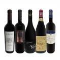  当店ベストセラーばかり 赤ワイン wine だけ リッチな贅沢ワイン wine 5本セット set 
