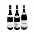  すべてコート・ドールの村名クラス 厳選ブルゴーニュ bourgogne 赤ワイン wine 3本セット set 