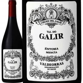 バル・ド・ガリル・メンシア 2022 スペイン Spain 赤ワイン wine 750ml フルボディ ガリシア バルデオラス メンシーア グリーン・スペイン Spain 冷涼 クネ CVN