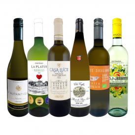  第67弾 当店 極 厳選 白ワイン wine 好きならこのセット set 格別の美味しさ 華やかな上質白ワイン wine を存分に味わう贅沢白ワイン wine 6本セット set 