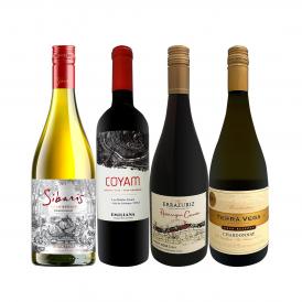  今、注目を集めるプレミアム・チリ4本セット set コスパのよさはダントツ 