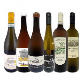  当店ベストセラーばかり 白ワイン wine だけ リッチな贅沢ワイン wine 6本セット set 