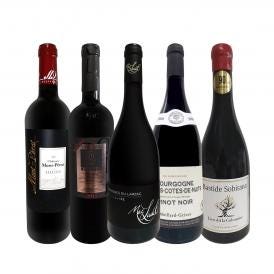  当店ベストセラーばかり 赤ワイン wine だけ リッチな贅沢ワイン wine 5本セット set 