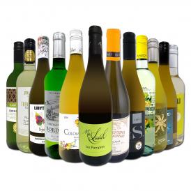  第111弾 当店オススメばかりを厳選したちょっといい白ワイン wine 12本セット set 