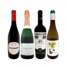  華麗なる新時代スペイン Spain ワイン wine 4本セット set 