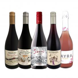  ピノ好き集まれ 品質向上目覚しいチリ・ピノ5本 