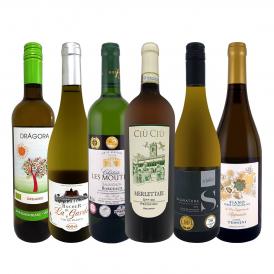  第69弾 当店 極 厳選 白ワイン wine 好きならこのセット set 格別の美味しさ 華やかな上質白ワイン wine を存分に味わう贅沢白ワイン wine 6本セット set 