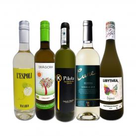  目からウロコ スペイン Spain 白ワイン wine の いま は超激旨 スペイン Spain おうちバル白ワイン wine 5本セット set 