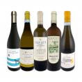  バラエティ豊かな個性を満喫 ワンランク上の極旨イタリア Italy 白ワイン wine 5本セット set 