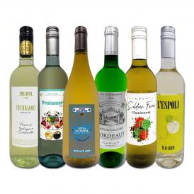  第234弾 当店厳選 極旨白ワイン wine 白ワイン wine を存分に楽しむ 味わい深いスーパーセレクト白6本 