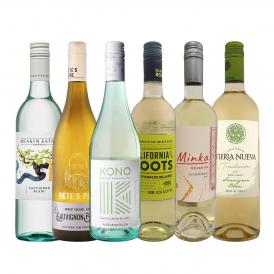  カリフォルニア産ソーヴィニョン・ブランも登場 爽快さわやかなソーヴィニョン・ブラン厳選６本 