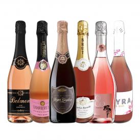  美しいピンク 映える フルーティ すべて辛口ロゼ rose スパークリング sparkling ワイン wine 6本セット set 