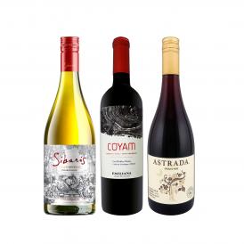  今、注目を集めるプレミアム・チリ３本セット set コスパのよさはダントツ 