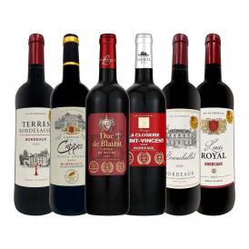  第293弾 全て金賞受賞 キング・オブ・金メダル 極旨ボルドー bordeaux 赤ワイン wine 6本セット set 