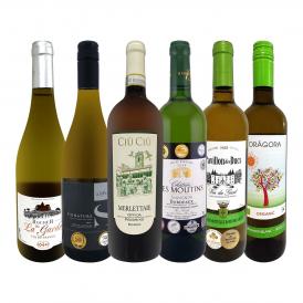  第72弾 当店 極 厳選 白ワイン wine 好きならこのセット set 格別の美味しさ 華やかな上質白ワイン wine を存分に味わう贅沢白ワイン wine 6本セット set 