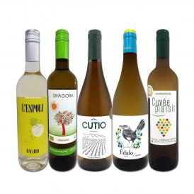  目からウロコ スペイン Spain 白ワイン wine の いま は超激旨 スペイン Spain おうちバル白ワイン wine 5本セット set 独占輸入 当店厳選 発掘 スペイン Spai