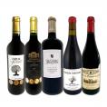  溢れ出る果実味を満喫 人気エリア南仏赤ワイン wine 5本セット set 