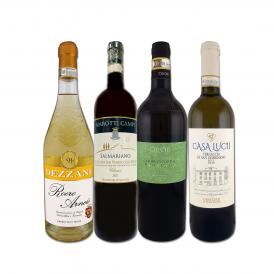  さらなる極旨揃い 地場品種の豊かな個性を満喫 超厳選イタリア Italy 白ワイン wine 4本セット set 