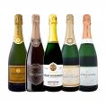 ぜんぶ瓶内2次発酵の伝統製法 ケタ違いの旨さ これぞ格上 高級スパークリング sparkling 5本セット set