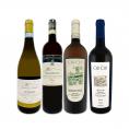  マロッティ・カンピ&チウ・チウ マルケ州の極旨白ワイン wine 4本セット set 