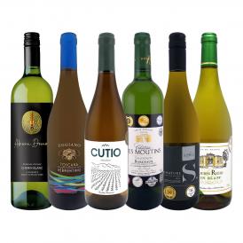  第73弾 当店 極 厳選 白ワイン wine 好きならこのセット set 格別の美味しさ 華やかな上質白ワイン wine を存分に味わう贅沢白ワイン wine 6本セット set 1本 