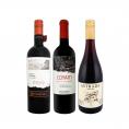  今、注目を集めるプレミアム・チリ3本セット set コスパのよさはダントツ ワイン wine セット set ミックスワイン wine セット set 当店直輸入 オーガニック  