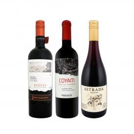  今、注目を集めるプレミアム・チリ3本セット set コスパのよさはダントツ ワイン wine セット set ミックスワイン wine セット set 当店直輸入 オーガニック  