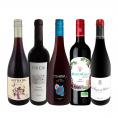暑い日でも赤が飲みたい 冷蔵庫に入れてこそ美味しい 軽やか赤ワイン wine 5本セット set