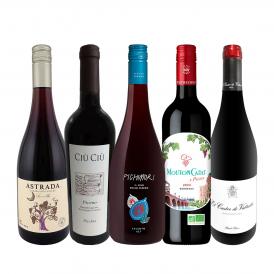  暑い日でも赤が飲みたい 冷蔵庫に入れてこそ美味しい 軽やか赤ワイン wine 5本セット set 