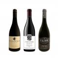  オレゴンワシントンワイン wine フェア特別セット set 厳選ピノ・ノワール3本セット set 