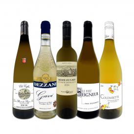  フルーティ＆ミネラリー 和食と合わせたい極旨白ワイン wine 5本セット set 