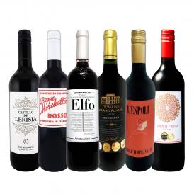  第227弾 採算度外視の謝恩企画 当店厳選 特大感謝の大満足赤ワイン wine 6本セット set 