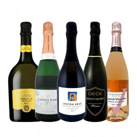  数量限定 高級産地入り ちょっと贅沢なスパークリング sparkling ワイン wine 5本セット set 