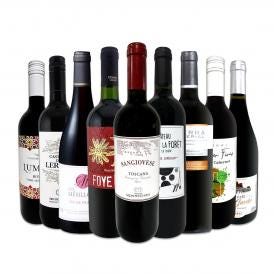  端数在庫一掃 赤ワイン wine 9本セット set 