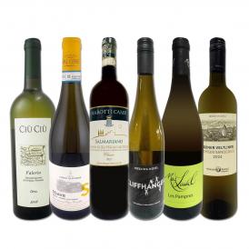  当店ベストセラーばかり 白ワイン wine だけ リッチな贅沢ワイン wine 6本セット set 