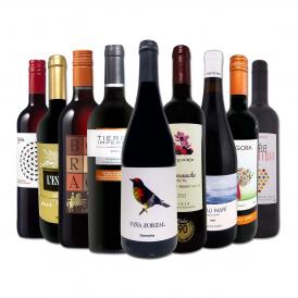  おうちタパスにピッタリ スペイン Spain 各地の赤飲み比べ おうちバル赤ワイン wine 9本セット set 