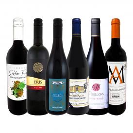  第228弾 採算度外視の謝恩企画 当店厳選 特大感謝の大満足赤ワイン wine 6本セット set 