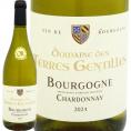 ドメーヌ・デ・テール・ジャンティーユ・ブルゴーニュ bourgogne ・シャルドネ chardonnay 2024