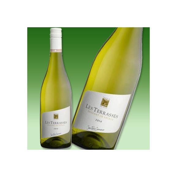 ジャン-ルネ・ジェルマニエ ファンダン・ヴェトロ・テラス 2023 白ワイン wine 750ml ミディアムボディ スイス シャスラ Fendant フォンダン ヴェトロ村 ヴァレ01